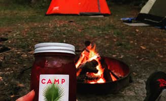 Kandi G.'s photo at Rodman Campground near San Mateo, FL