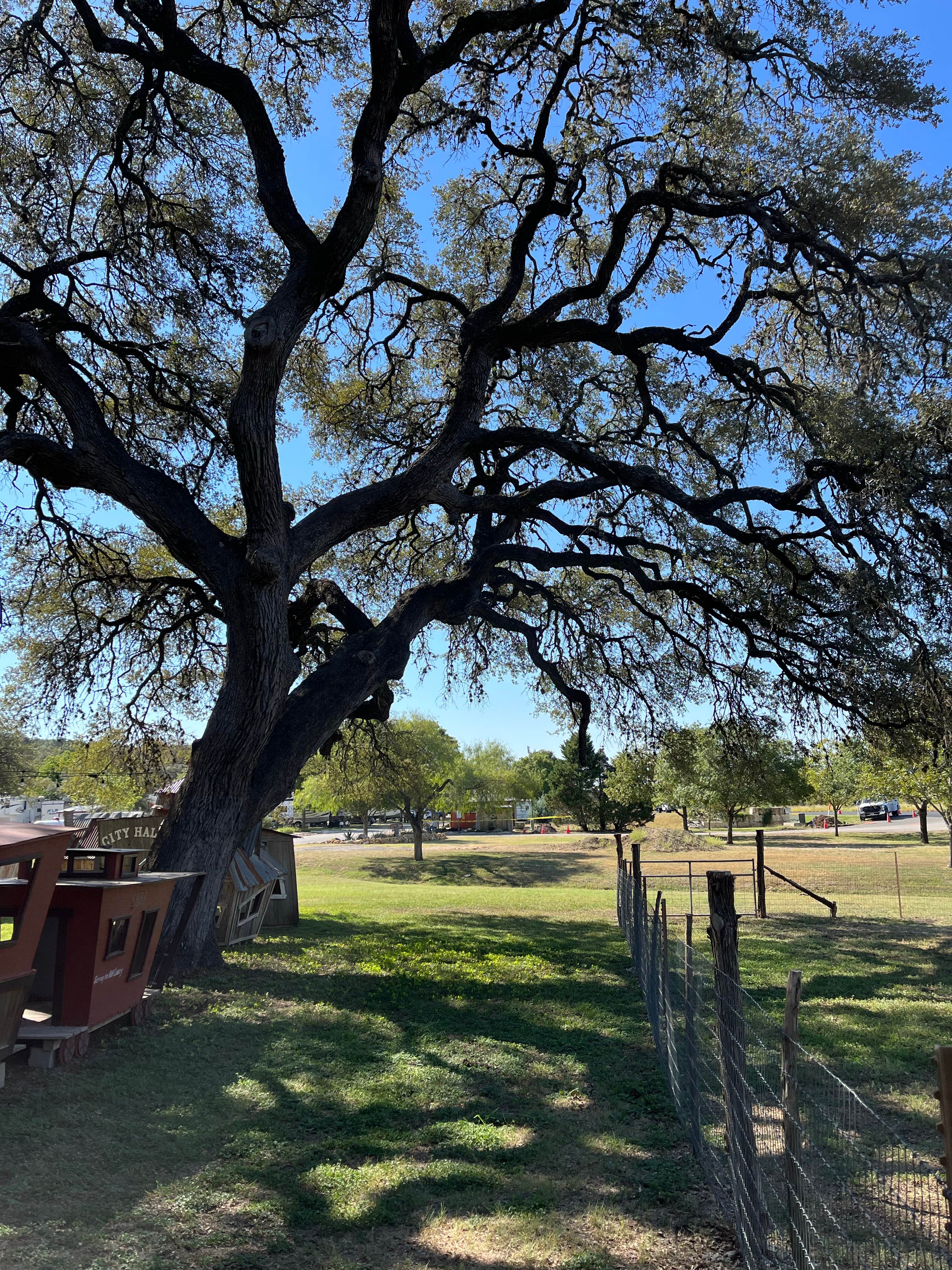 Camper-submitted photo at Spring Branch RV Park near Spring Branch, TX