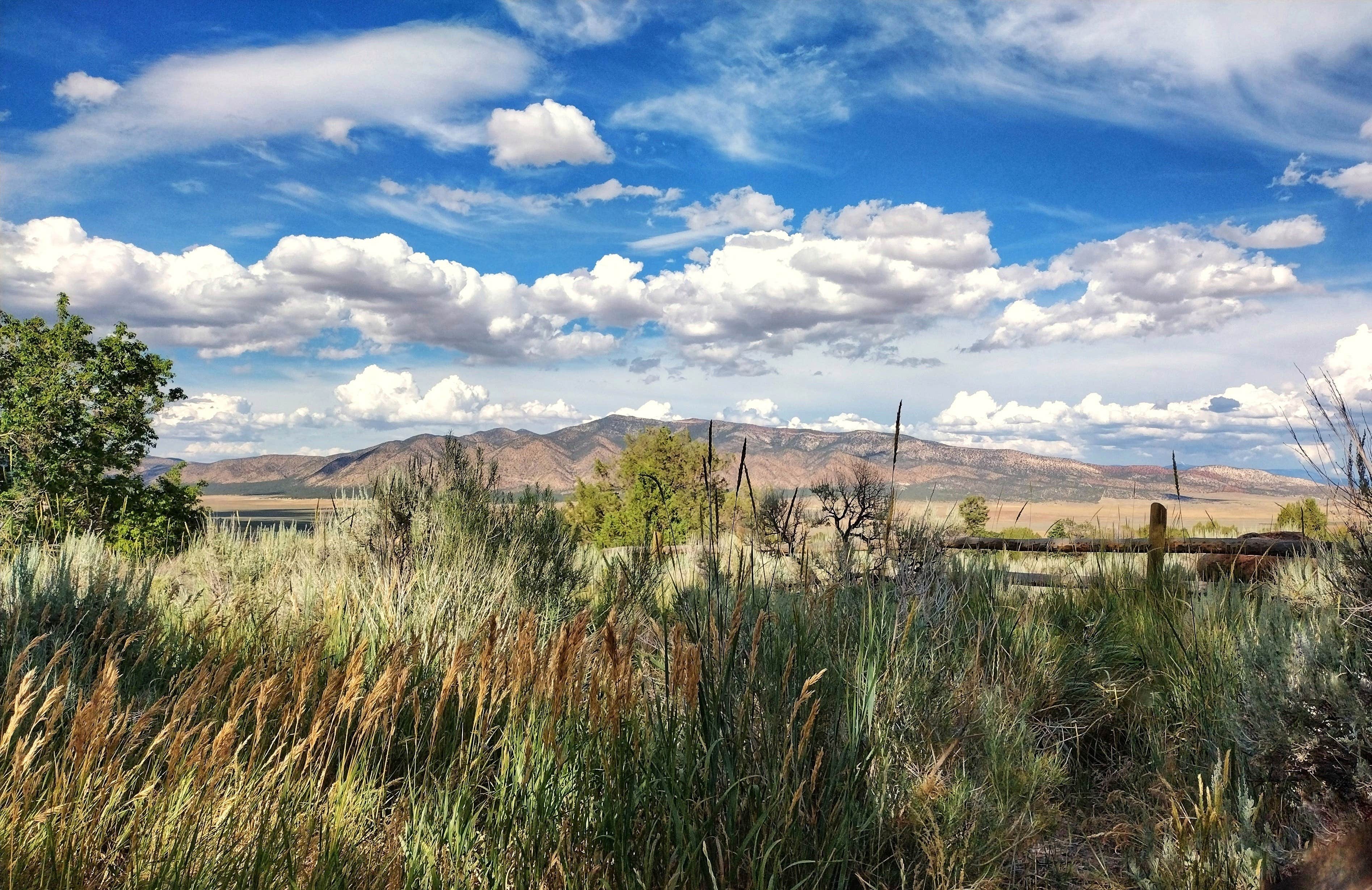 Camper-submitted photo at Maple Grove near Sigurd, UT