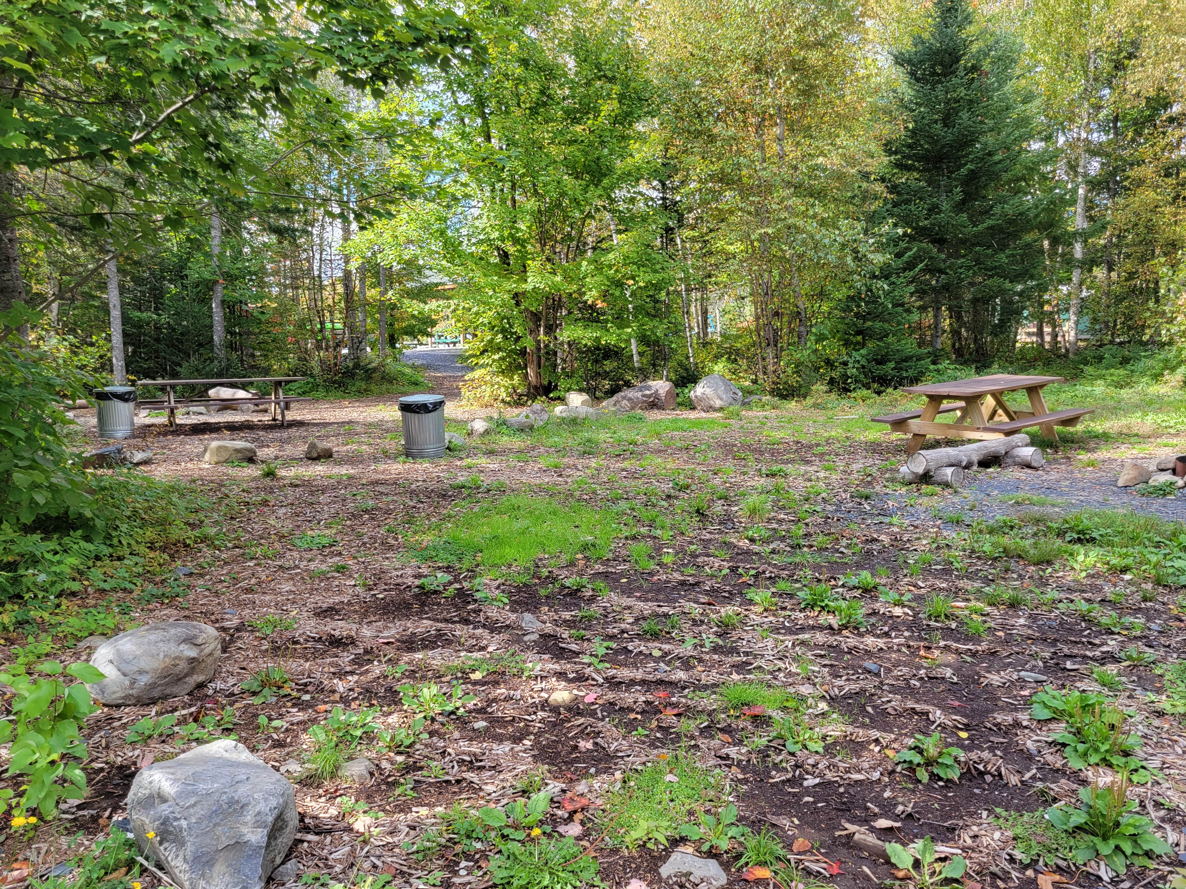 Camping near Spacious Skies Balsam Woods: Northeast Whitewater Lodge, Greenville Junction, Maine