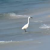 Review photo of Fort Pickens Campground — Gulf Islands National Seashore by Thunderroad 5., September 29, 2022