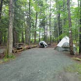 Review photo of Bar Harbor Campground by Nancy W., September 29, 2022