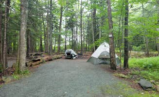 Nancy W.'s photo at Bar Harbor Campground near Bar Harbor, ME