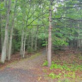 Review photo of Bar Harbor Campground by Nancy W., September 29, 2022