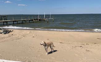 The Dyrt's photo of camping with pets at Tentrr Signature Site - Potomac Landing near Broomes Island, MD