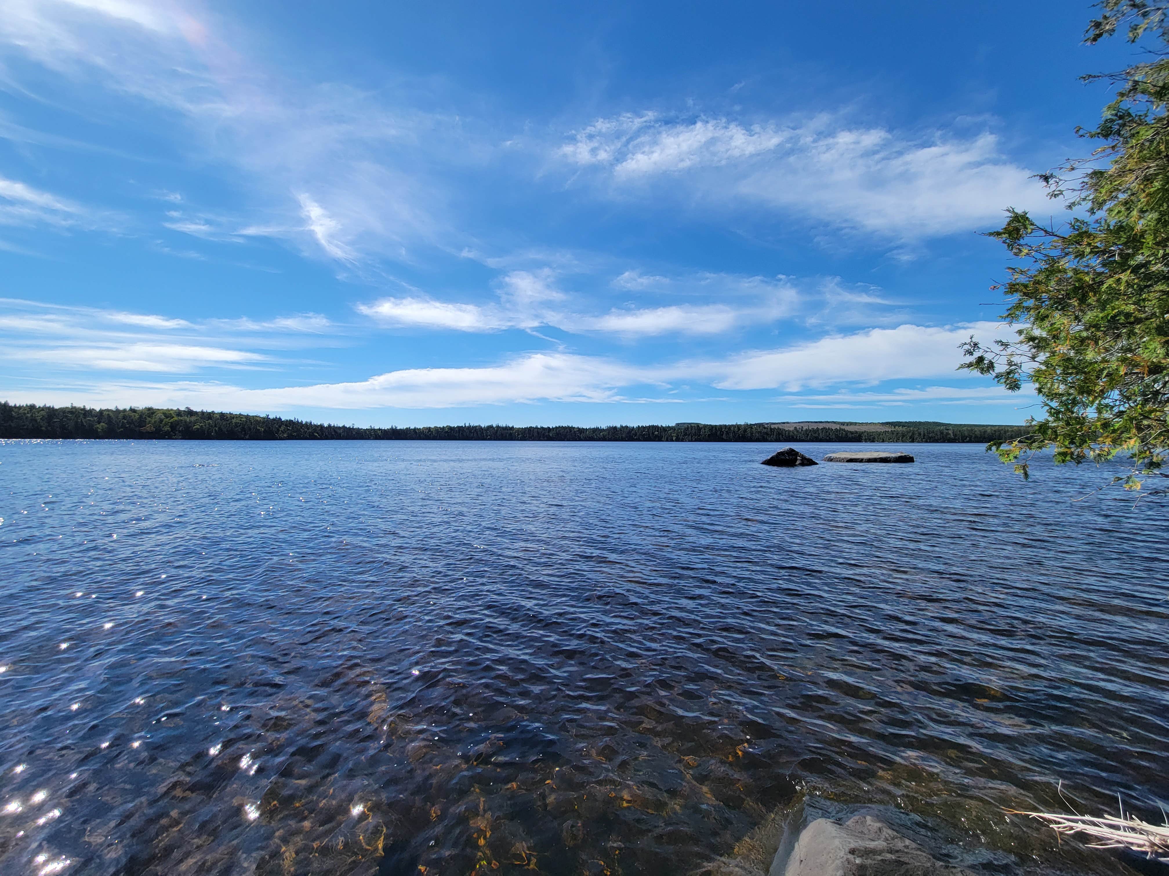 Camper submitted image from Rum Pond Campsite - 3
