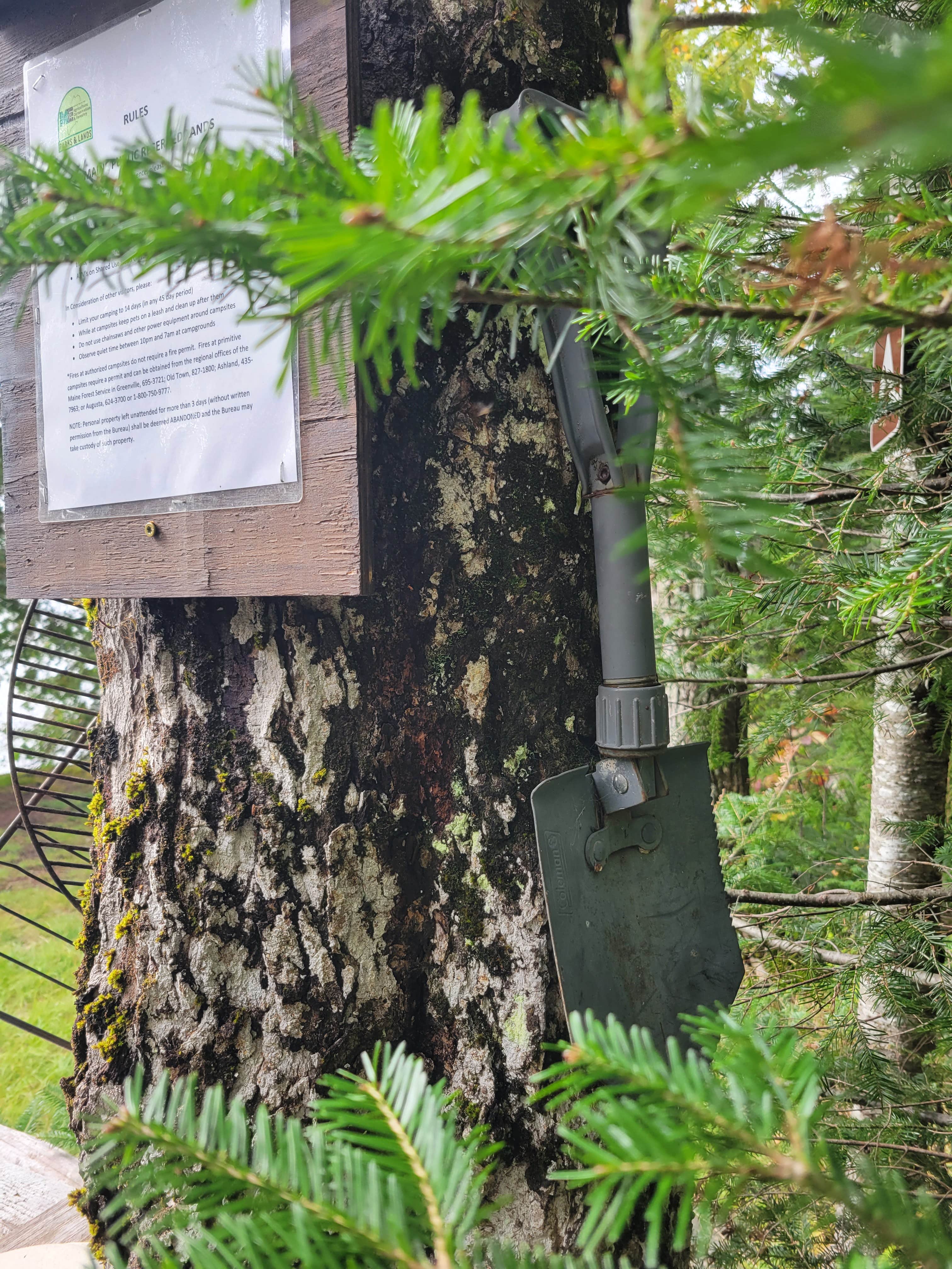 Camping near Spacious Skies Balsam Woods: Rum Pond Campsite, Greenville, Maine