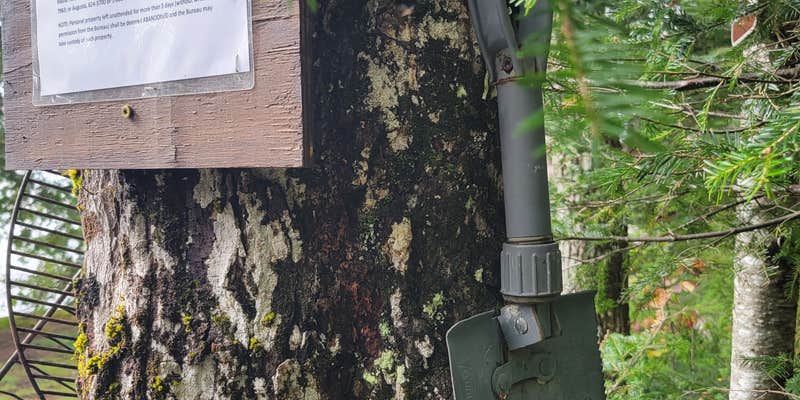 Camper submitted image from Rum Pond Campsite