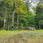 Review photo of Rum Pond Campsite by Nancy W., September 29, 2022