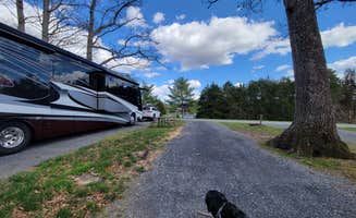 Nancy W.'s photo of camping with pets at Skyline Ranch Resort near Rileyville, VA