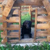 Review photo of Watkins Glen / Corning KOA by Nancy W., September 29, 2022