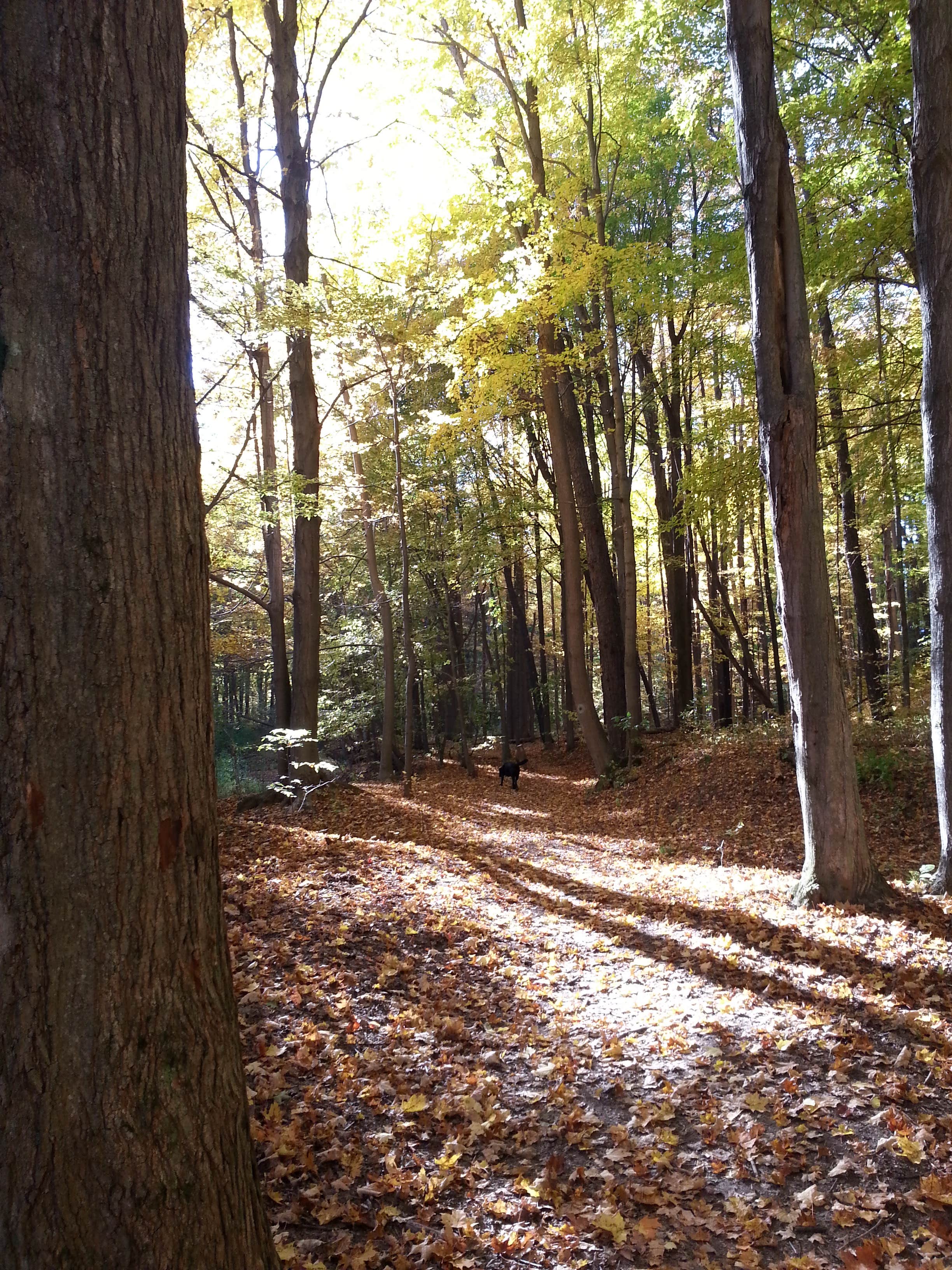 Camper-submitted photo at Watkins Glen / Corning KOA near Hector, NY