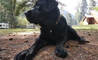 Gintare's photo of camping with pets at Wallowa Lake State Park Campground near Lostine, OR