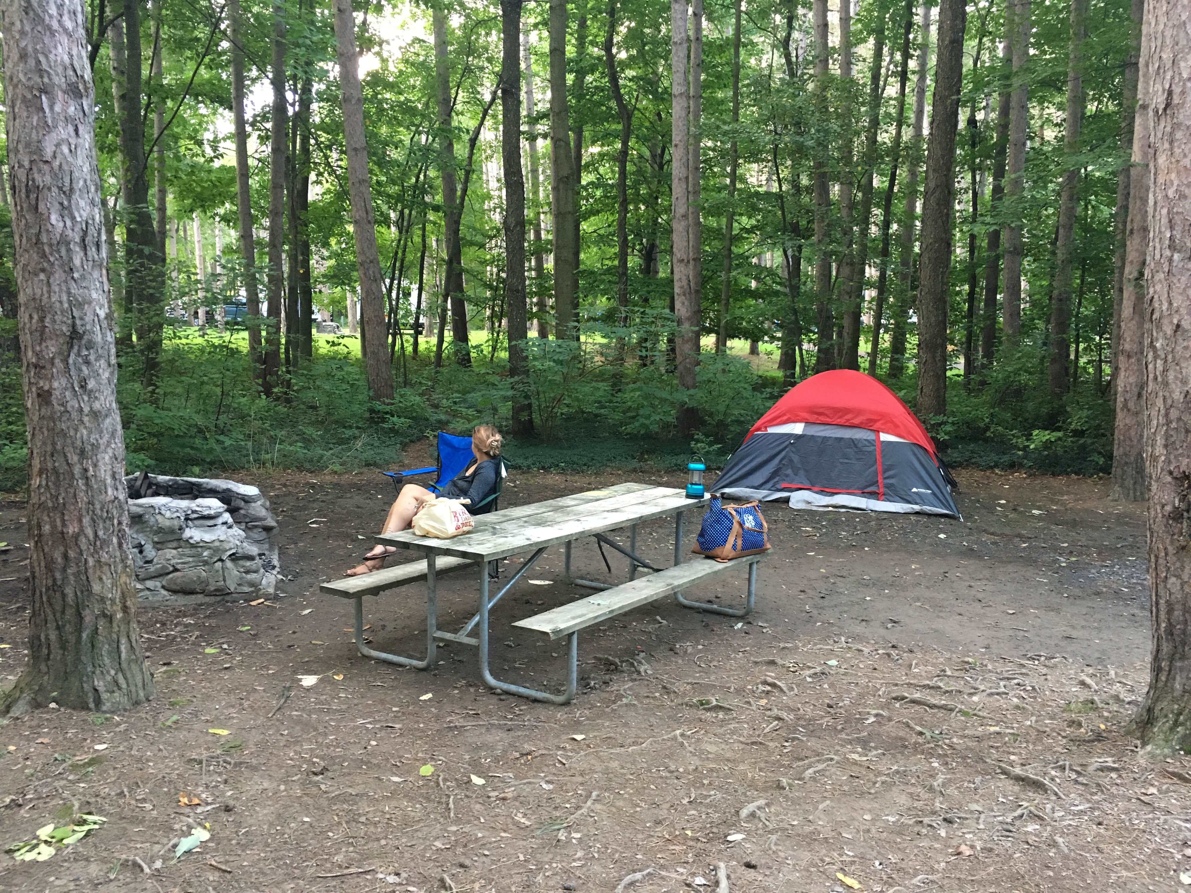 Camper-submitted photo at Whetstone Gulf State Park Campground near Copenhagen, NY