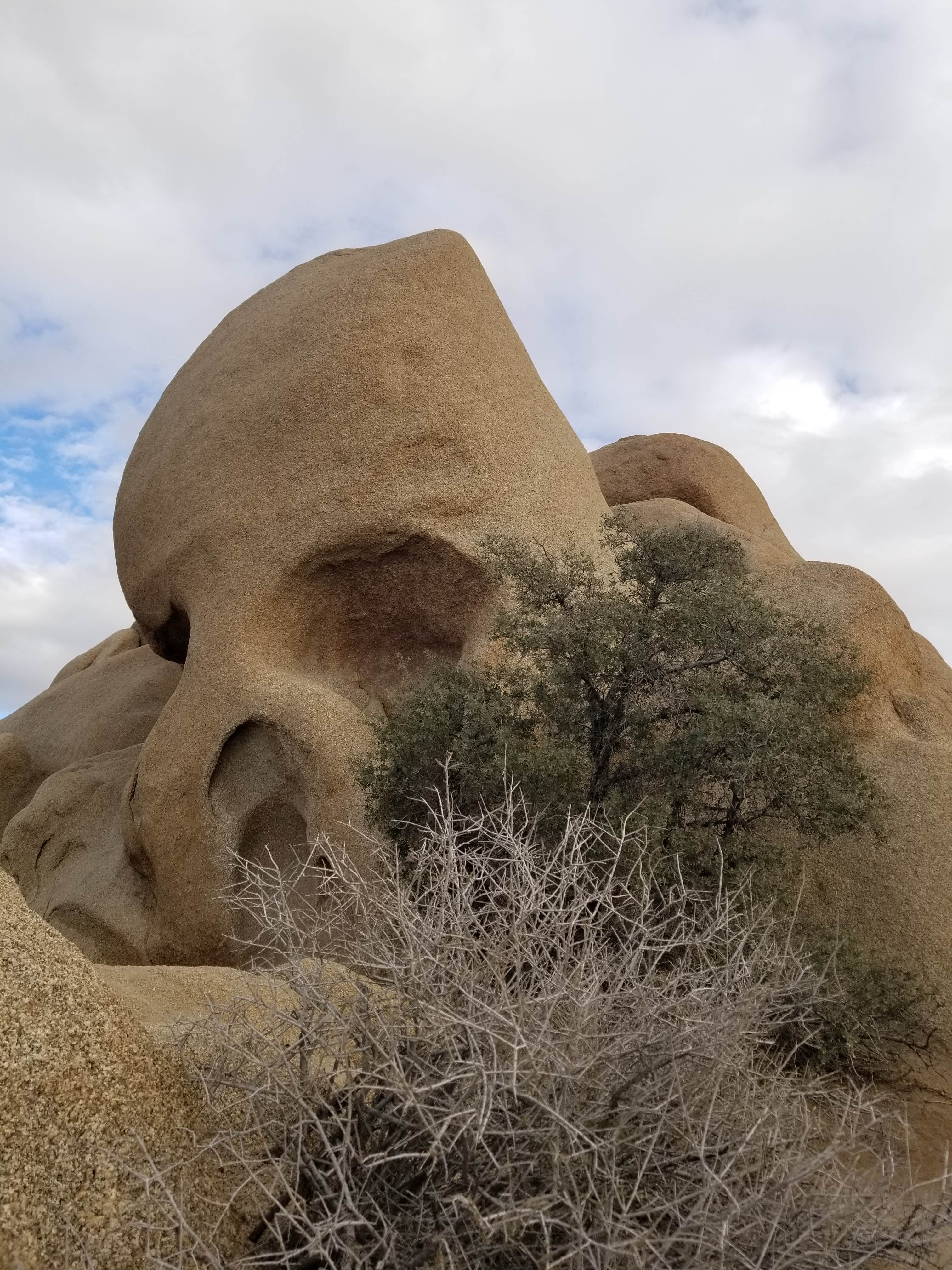 Camper-submitted photo at Coyote Gultch Hideout near Landers, CA