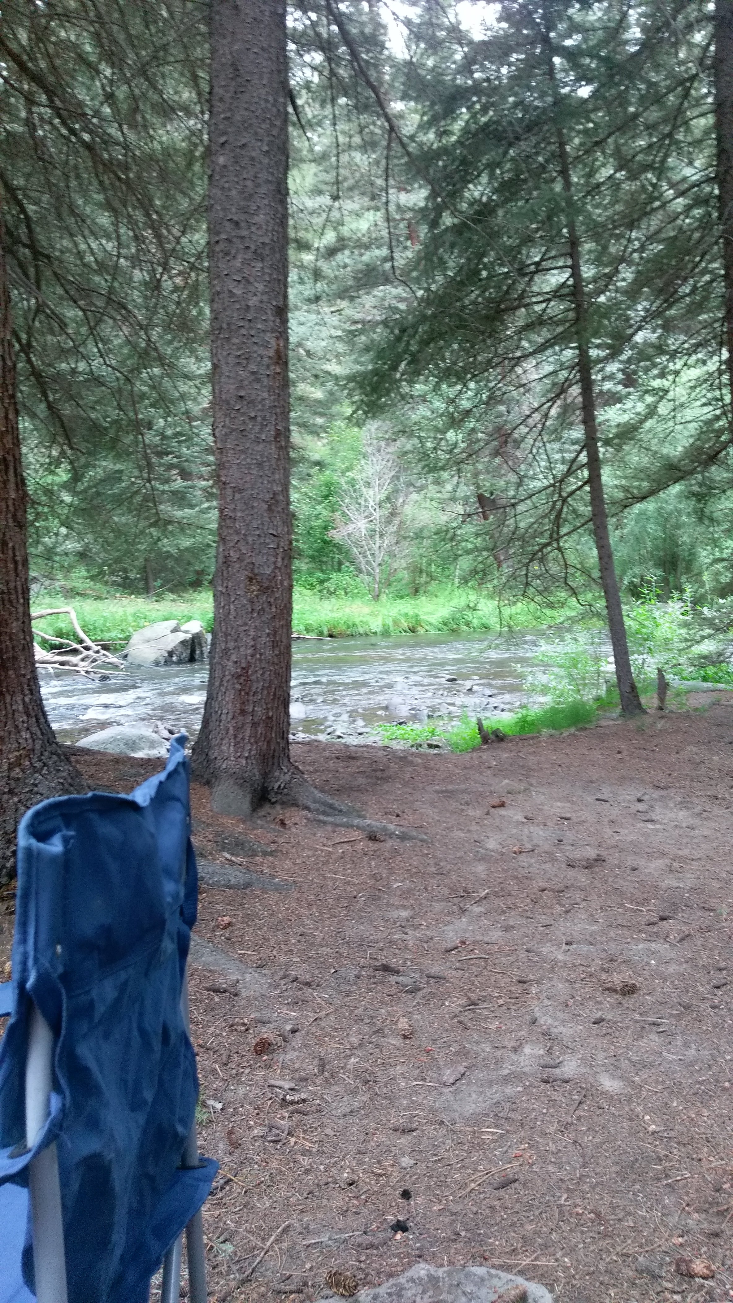 Camper submitted image from Upper Beaver Creek Campground - 3