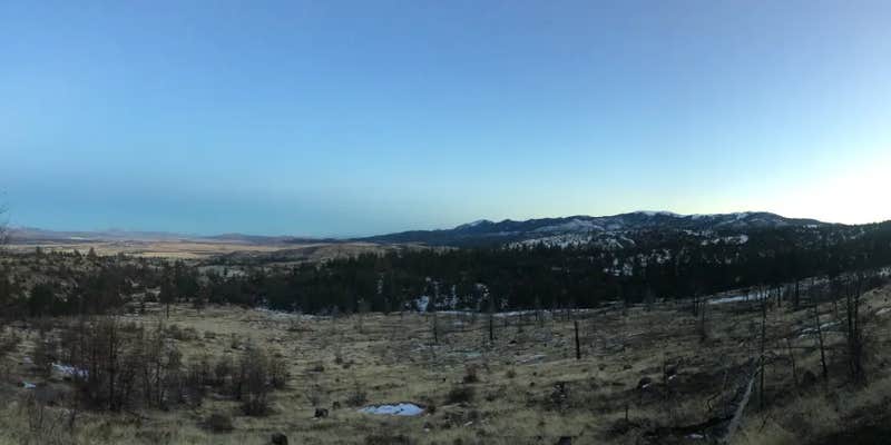 Camper submitted image from Lazzarini Farms