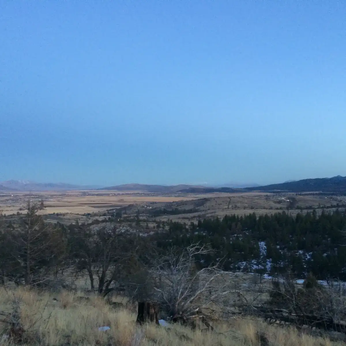 Camper-submitted photo at Lazzarini Farms near Lassen National Forest