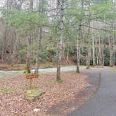 Review photo of Camp Burson Campground — Hungry Mother State Park by Nancy W., September 29, 2022