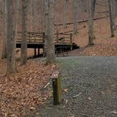 Review photo of Camp Burson Campground — Hungry Mother State Park by Nancy W., September 29, 2022