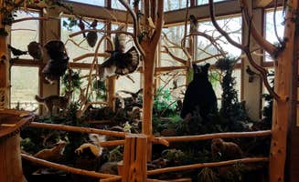 Nancy W.'s photo of camping with pets at Camp Burson Campground — Hungry Mother State Park near Mouth of Wilson, VA