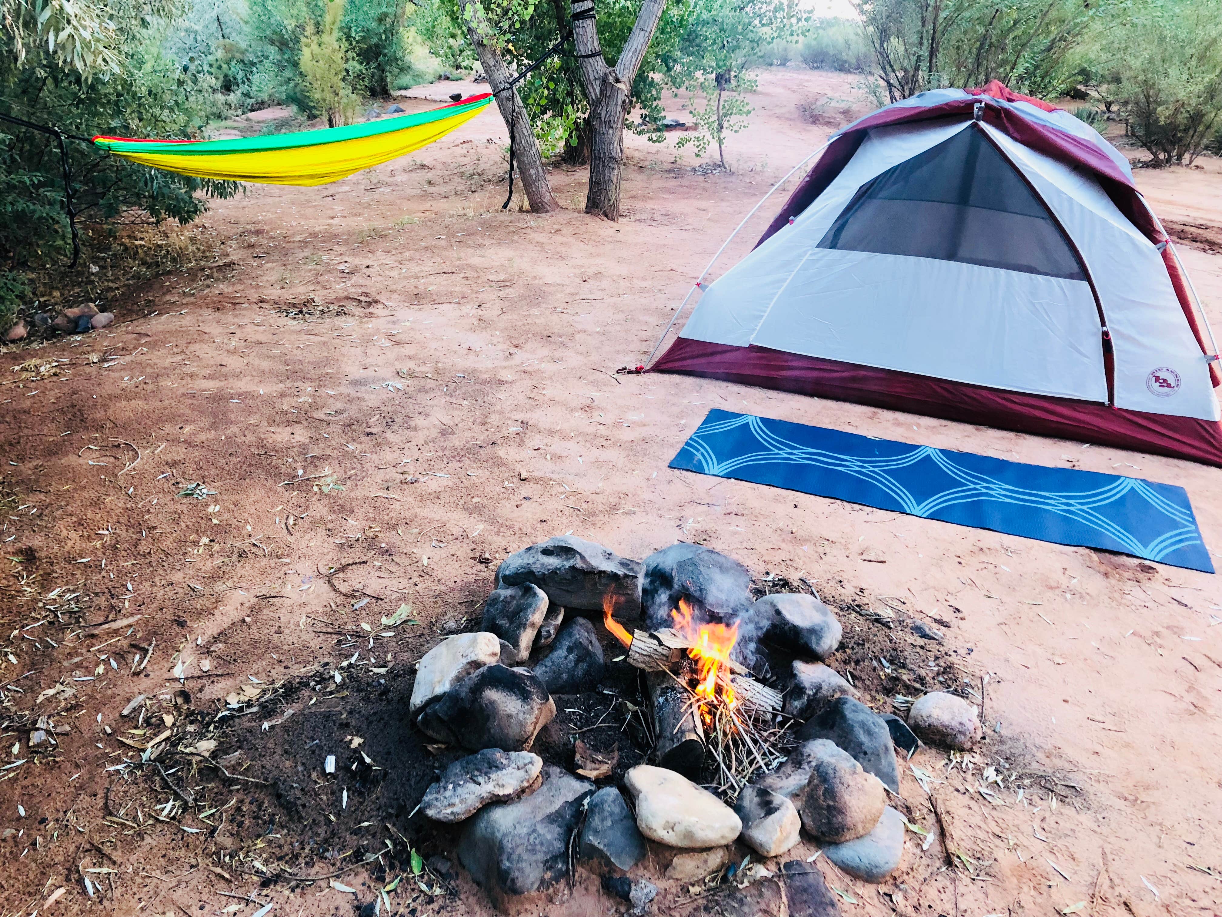 Camper submitted image from Kolob Terrace Road Dispersed - 2