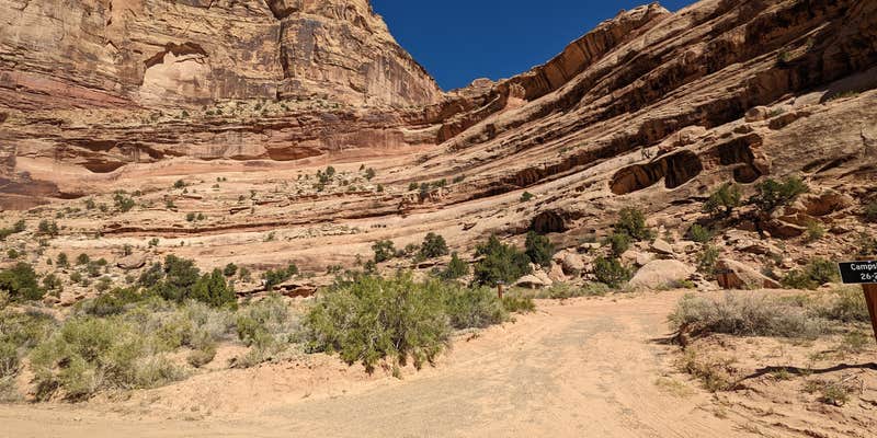 Camper submitted image from Buckhorn Draw fee Campsites 26-27