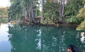 Claudia's photo of camping with pets at Lakebay Getaway near Olympia, WA