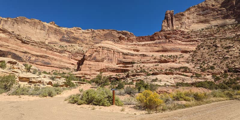 Camper submitted image from Buckhorn Draw Campsite #28