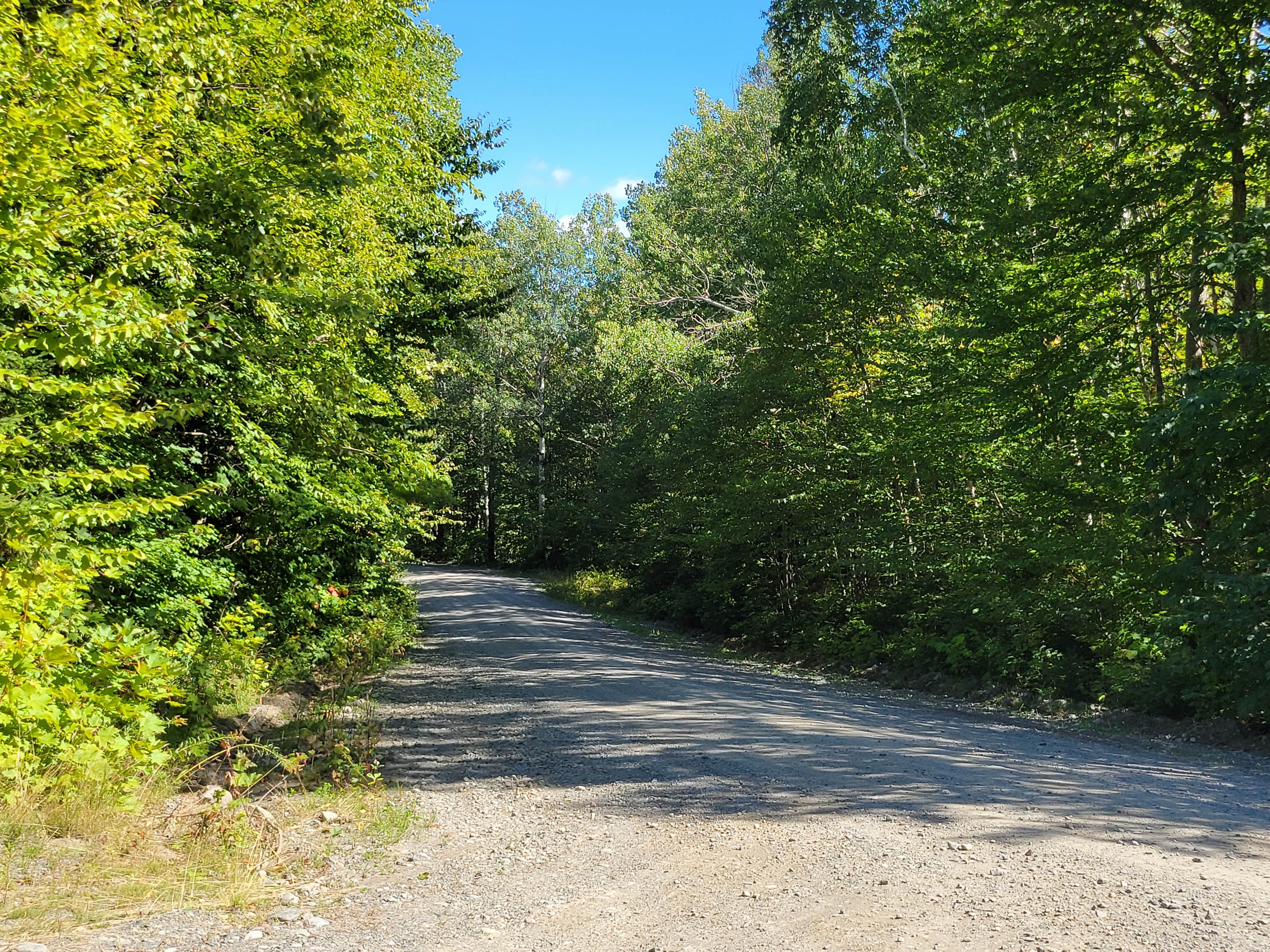 Camper-submitted photo at Upper Gravel Pit - Dispersed near Greenville Junction, ME