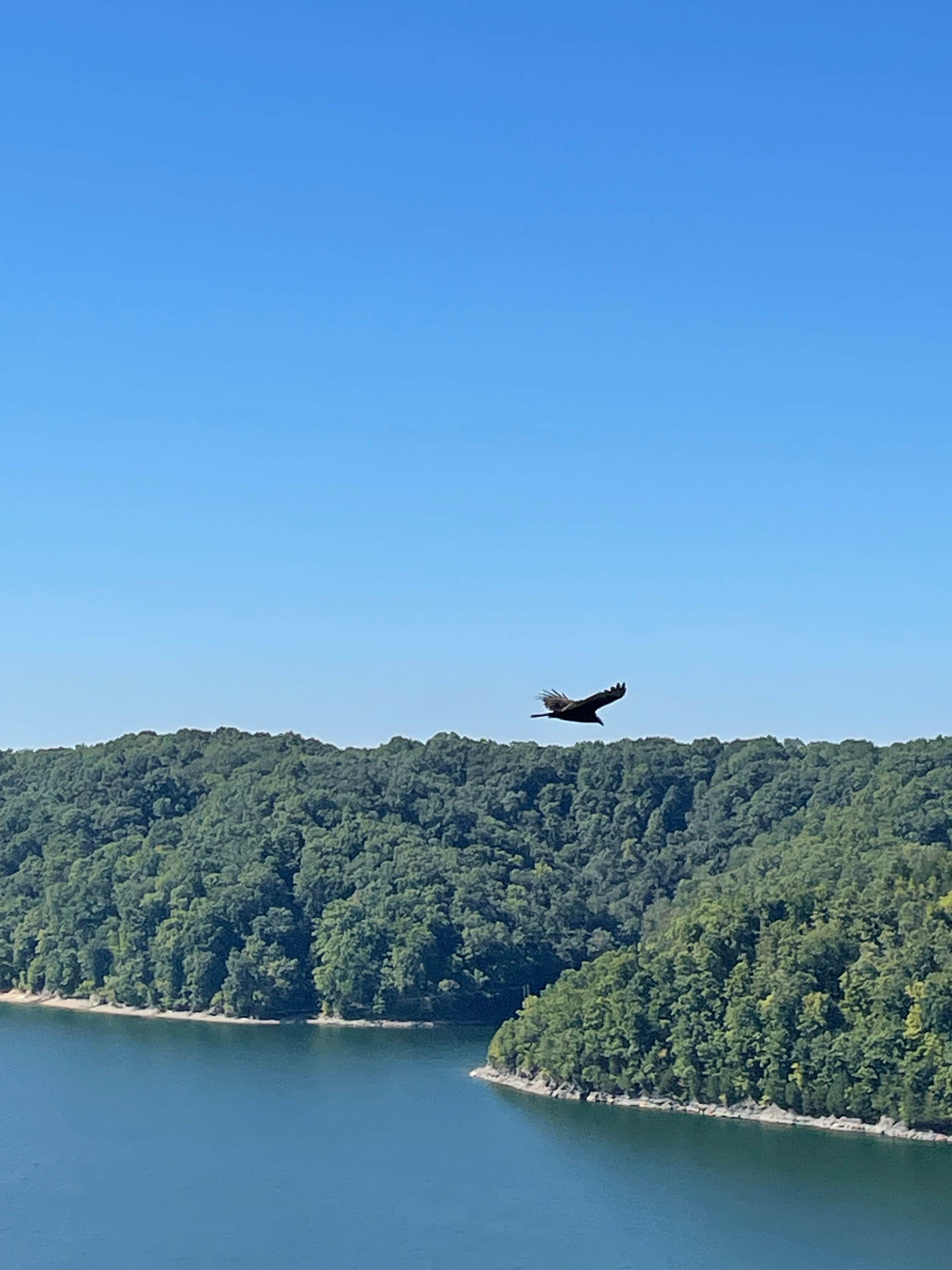 Camper-submitted photo at Dale Hollow Lake State Resort Park near Horse Cave, KY