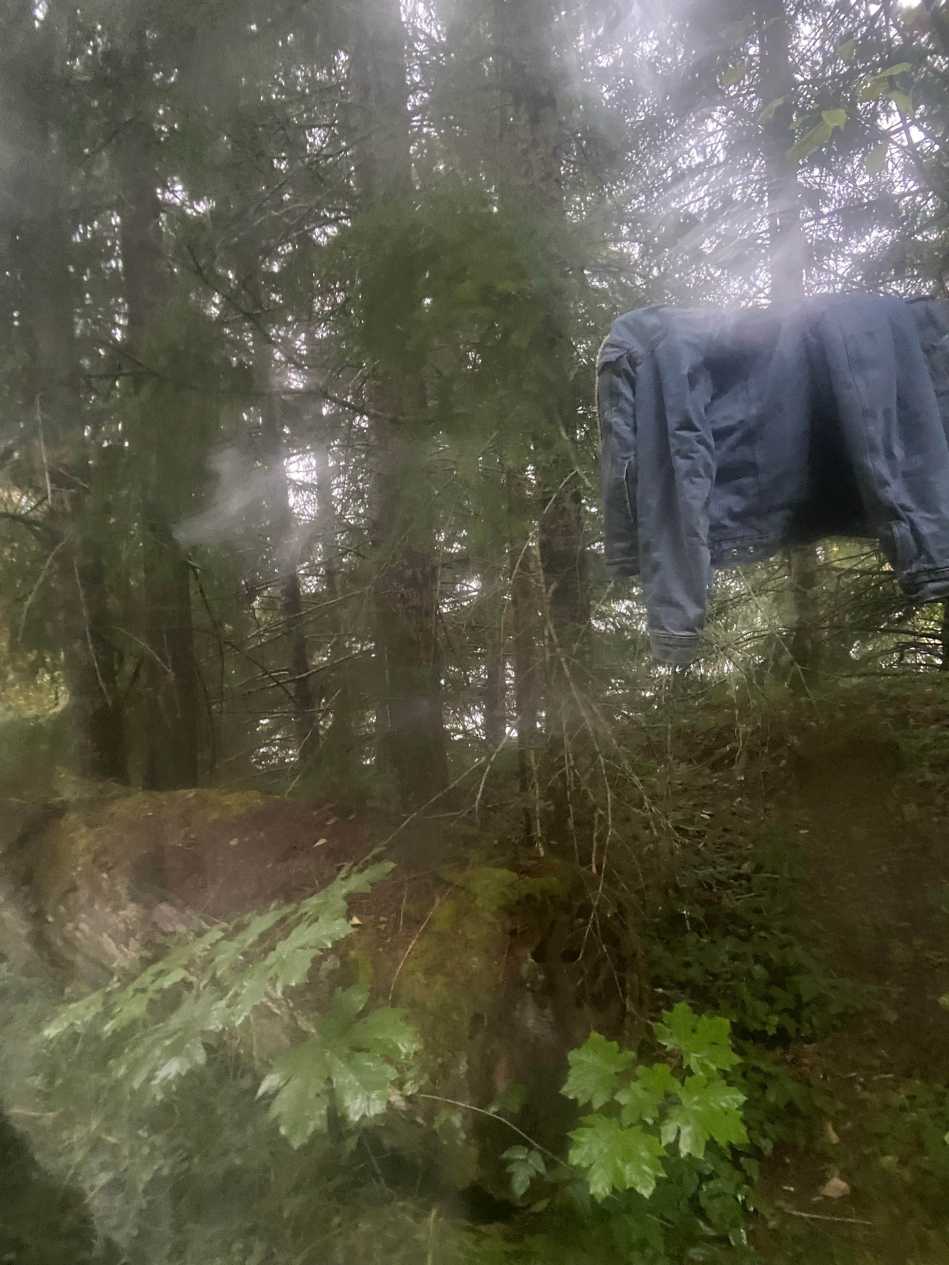 Camper submitted image from Blue River Reservoir Roadside Camping - 5