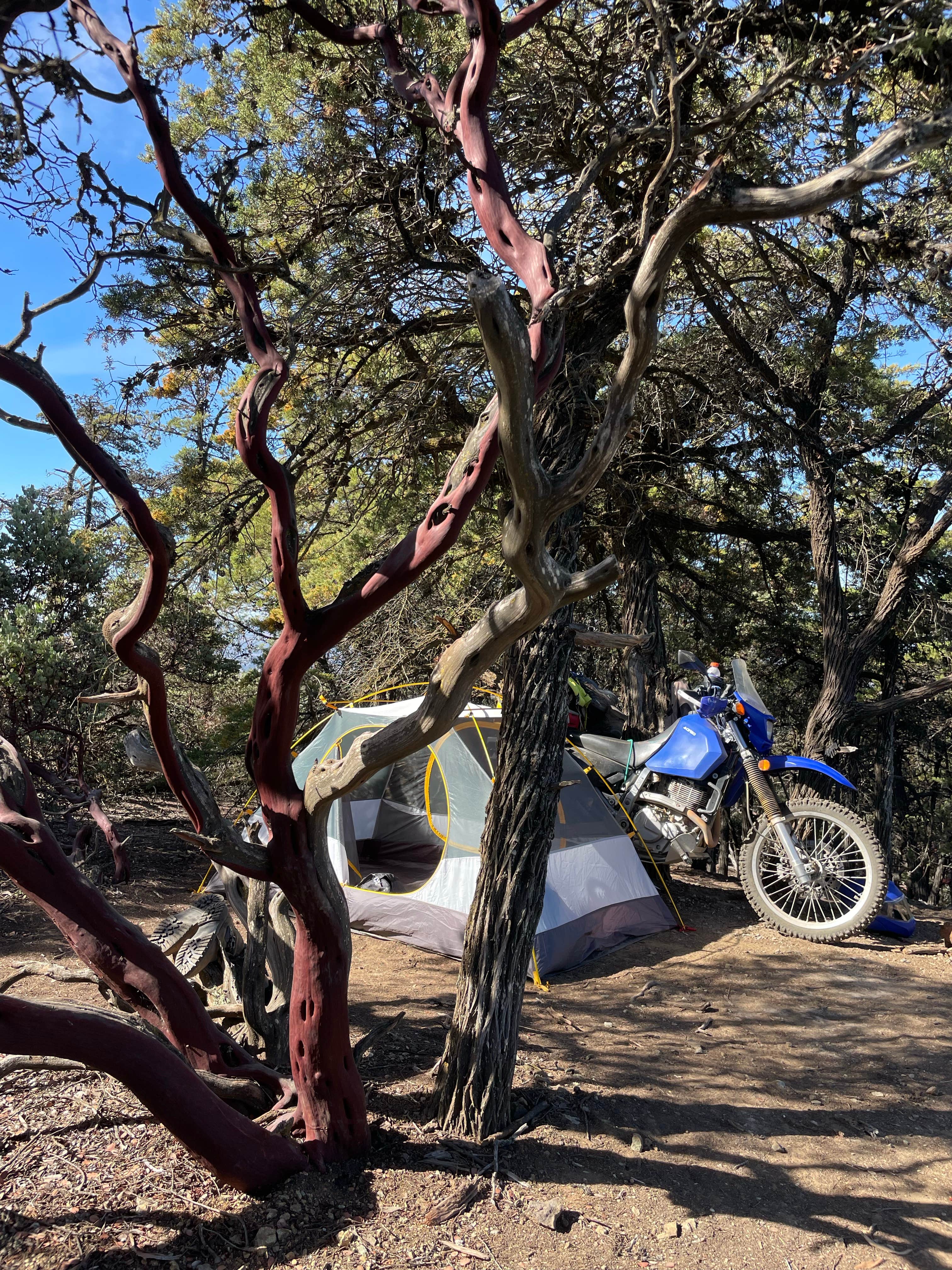 Camper-submitted photo at TV Tower Road Dispersed Camping near Carrizo Plain National Monument