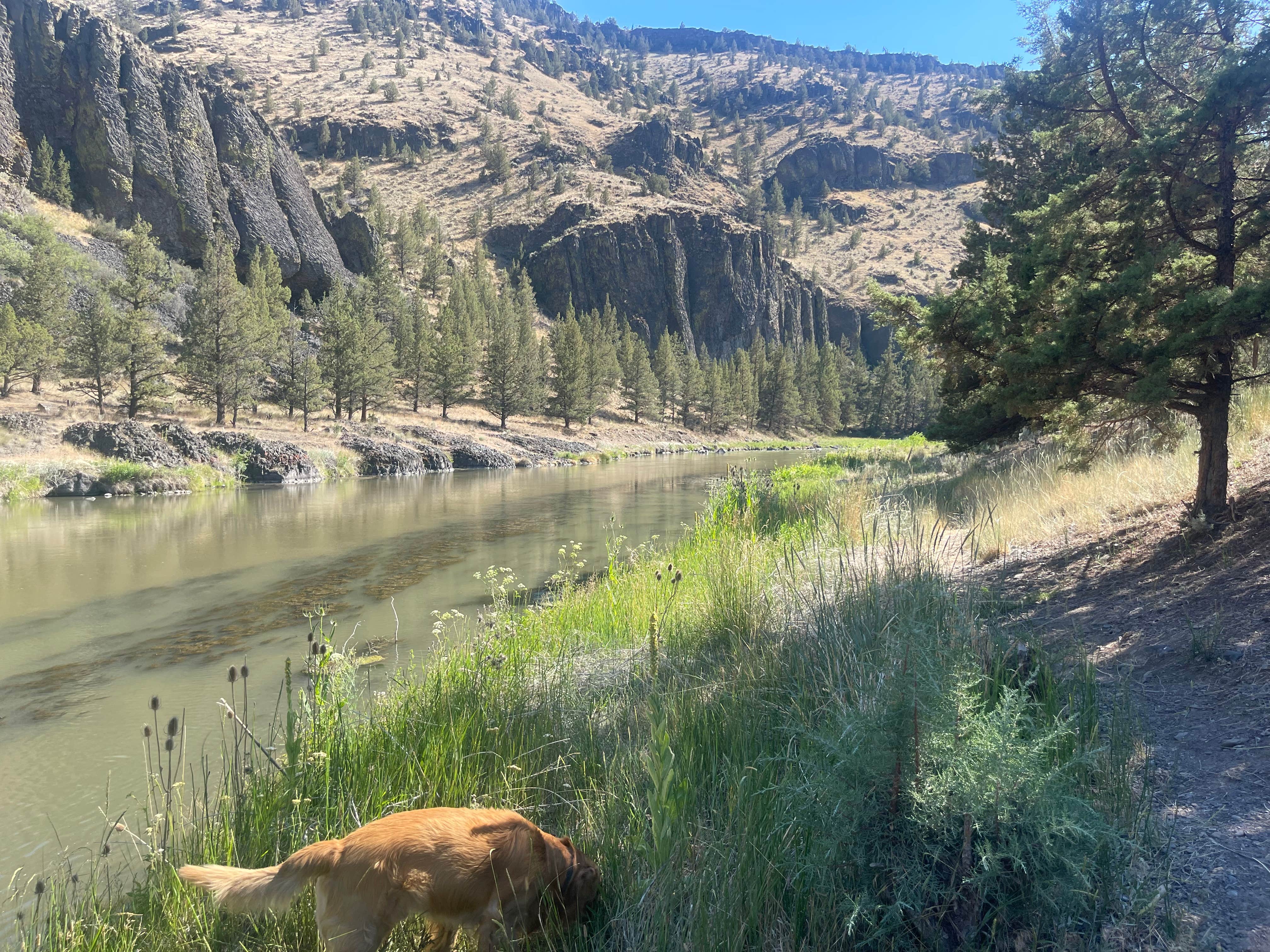 Camper-submitted photo at Macks Canyon Recreation Site near Mikkalo, OR