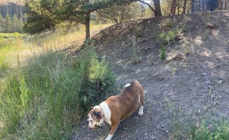 James W.'s photo of camping with pets at Macks Canyon Recreation Site near Mikkalo, OR