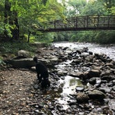 Review photo of North Mills River by Jenny C., September 4, 2018