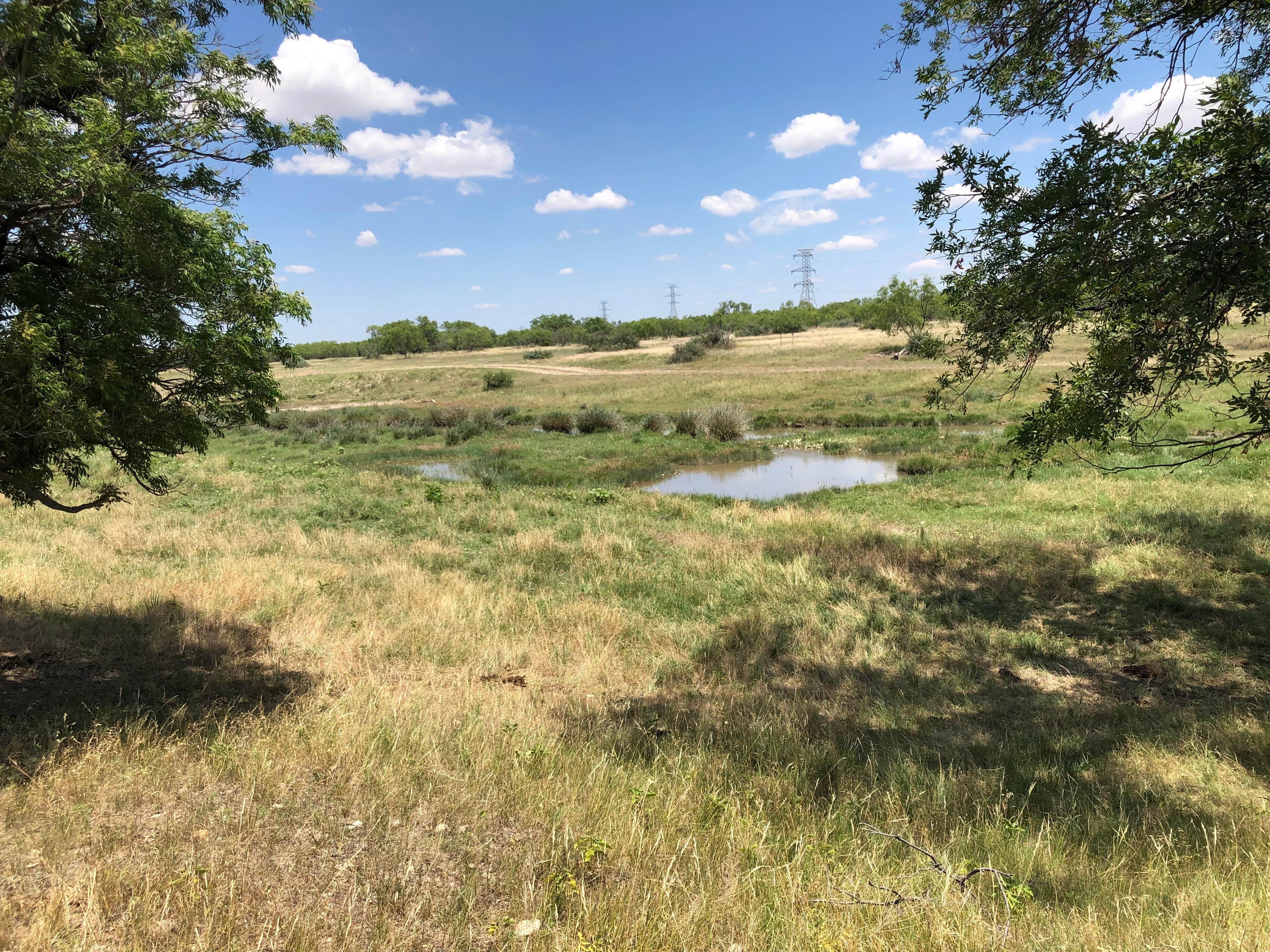 Camper-submitted photo at The Chaparral Ranch near Robert Lee, TX