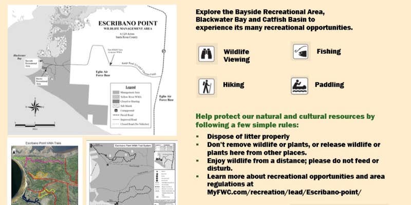 Camper submitted image from Escribano Point WMA Bayside Campground - CLOSED