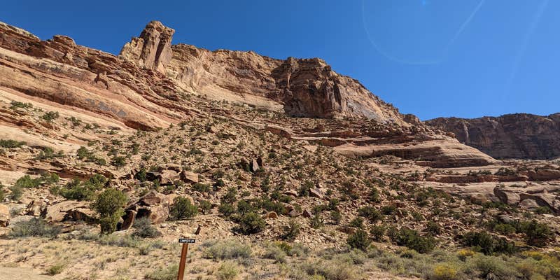 Camper submitted image from Buckhorn Draw Campsite #29