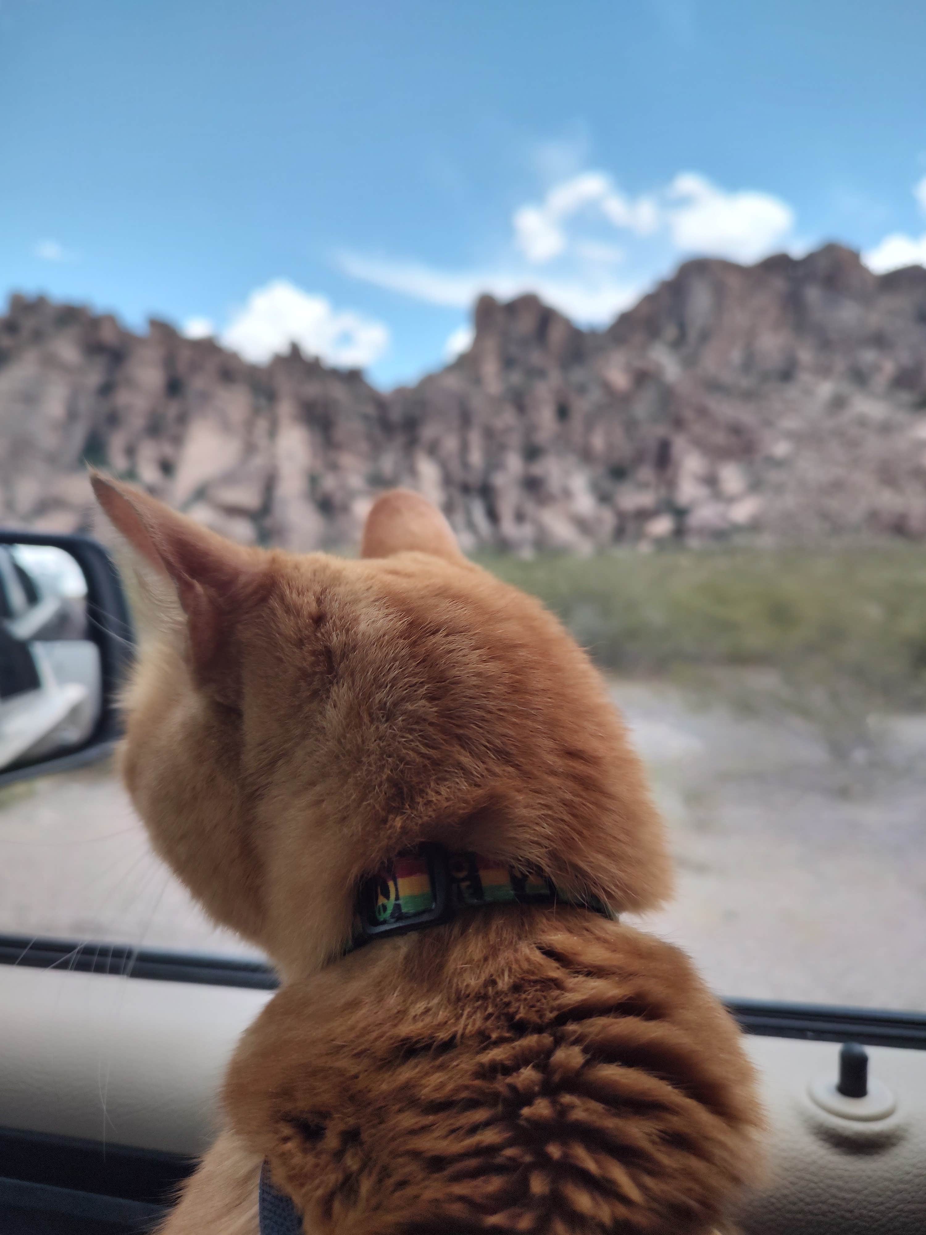 Rachel G.'s photo of camping with pets at Hueco Tanks State Park Campground near Clint, TX