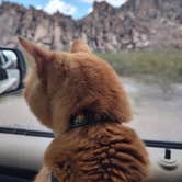 Review photo of Hueco Tanks State Park & Historic Site by Rachel G., September 30, 2022