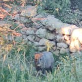 Review photo of Hueco Tanks State Park & Historic Site by Rachel G., September 30, 2022