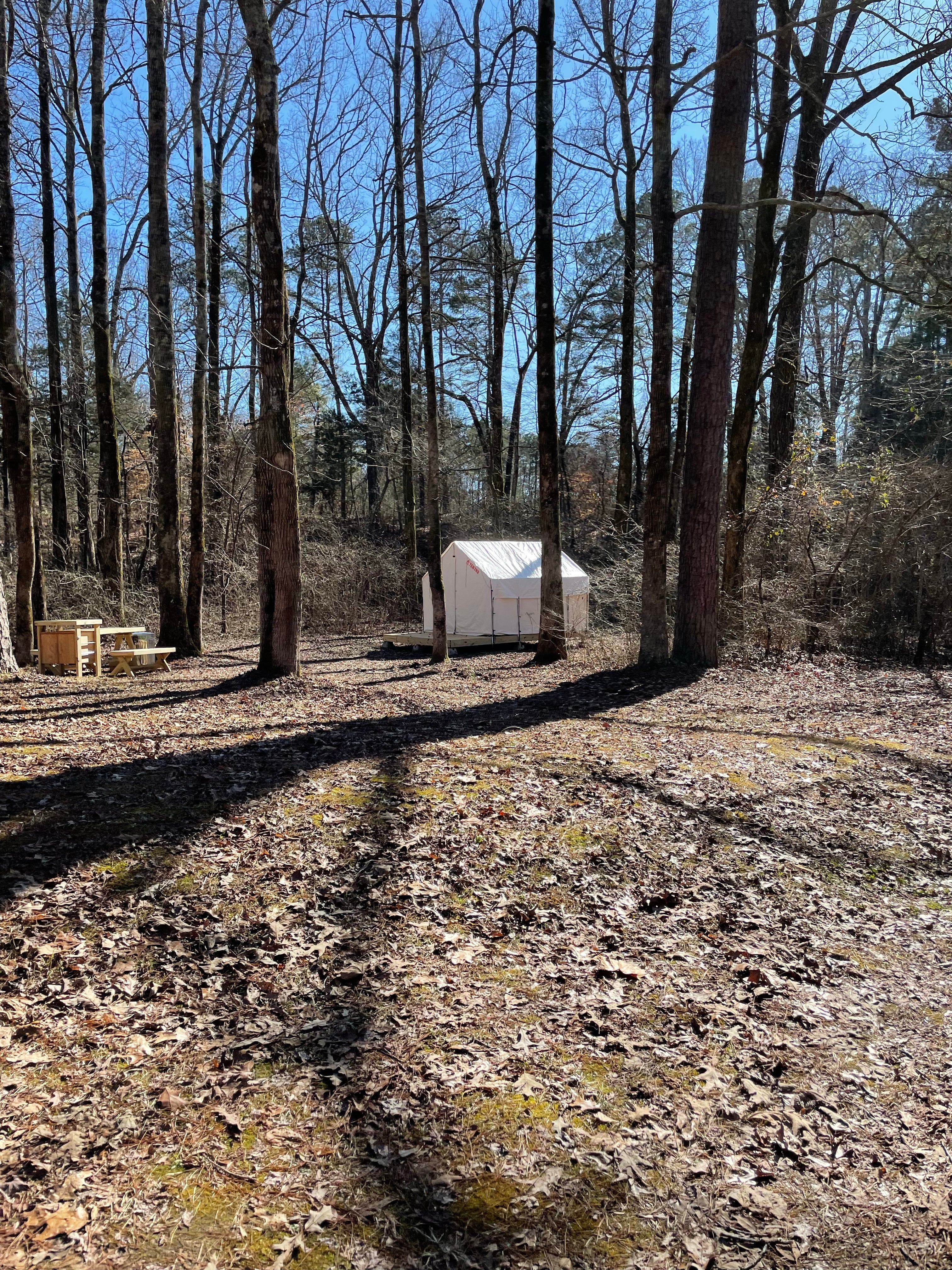 Camper submitted image from Tentrr State Park Site - Mississippi Wall Doxey State Park - Woodland C - Single Camp - 4