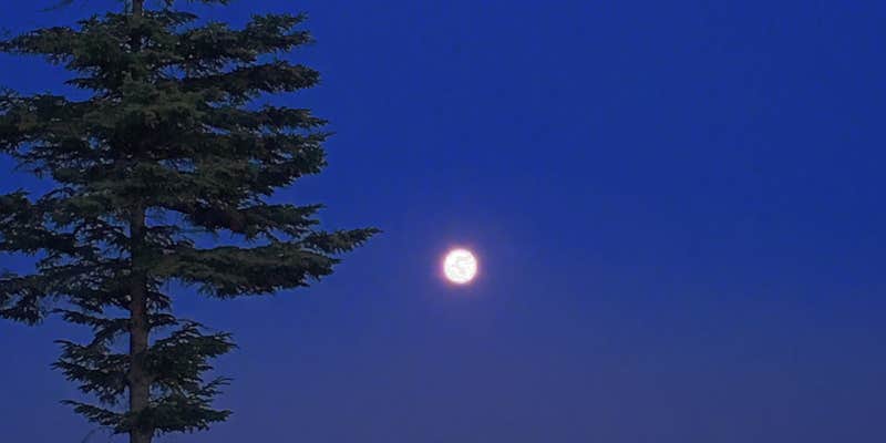 Camper submitted image from Island Good