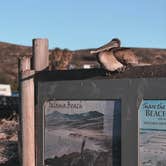 Review photo of Jalama Beach County Park by Chanel C., September 30, 2022