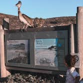 Review photo of Jalama Beach County Park by Chanel C., September 30, 2022