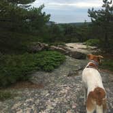 Review photo of Blackwoods Campground — Acadia National Park by Bre W., September 4, 2018