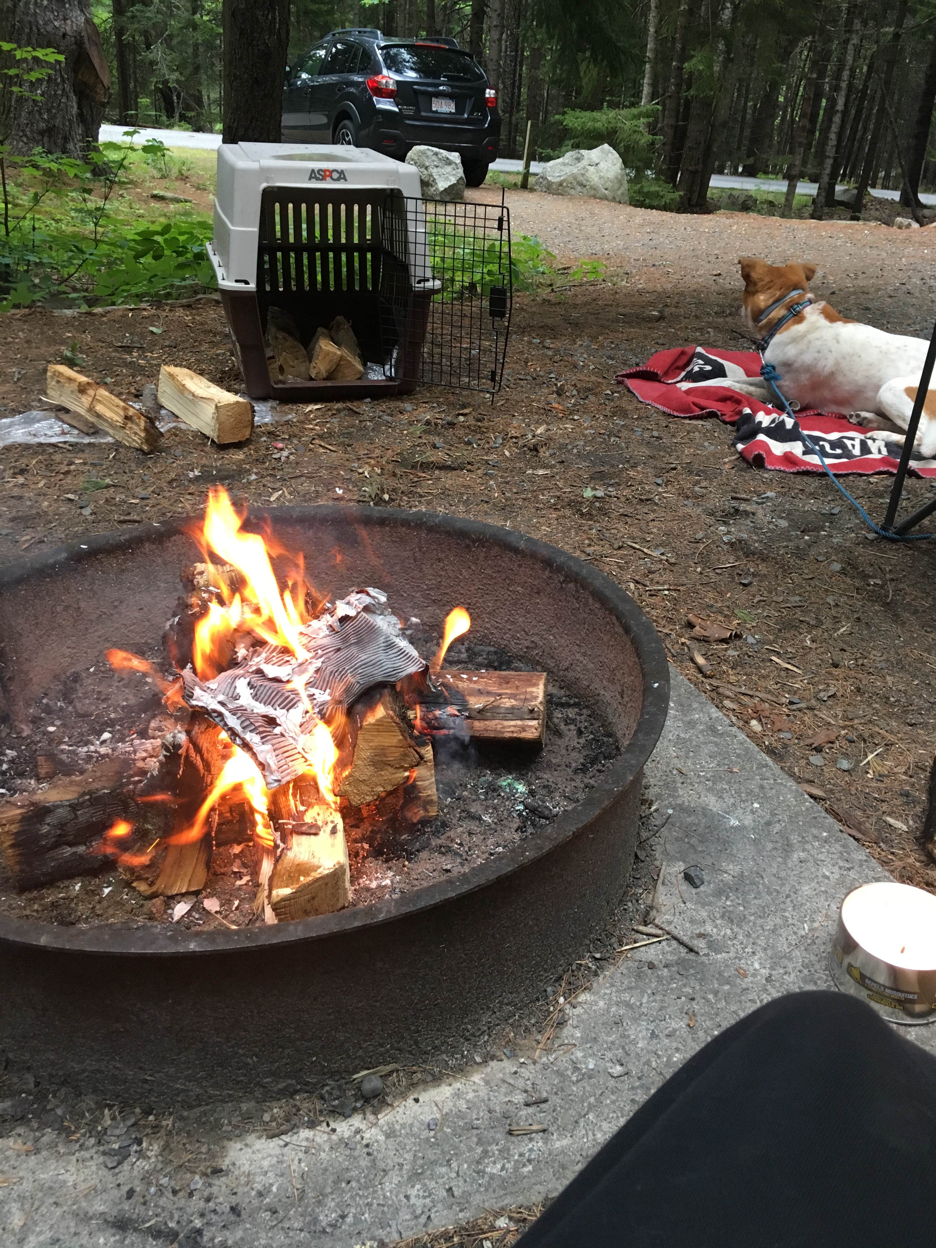 Bre W.'s photo at Blackwoods Campground — Acadia National Park near Acadia National Park
