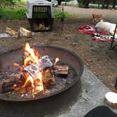 Review photo of Blackwoods Campground — Acadia National Park by Bre W., September 4, 2018