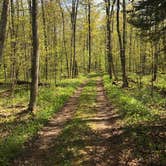 Review photo of Newport State Park by Steven U., September 4, 2018